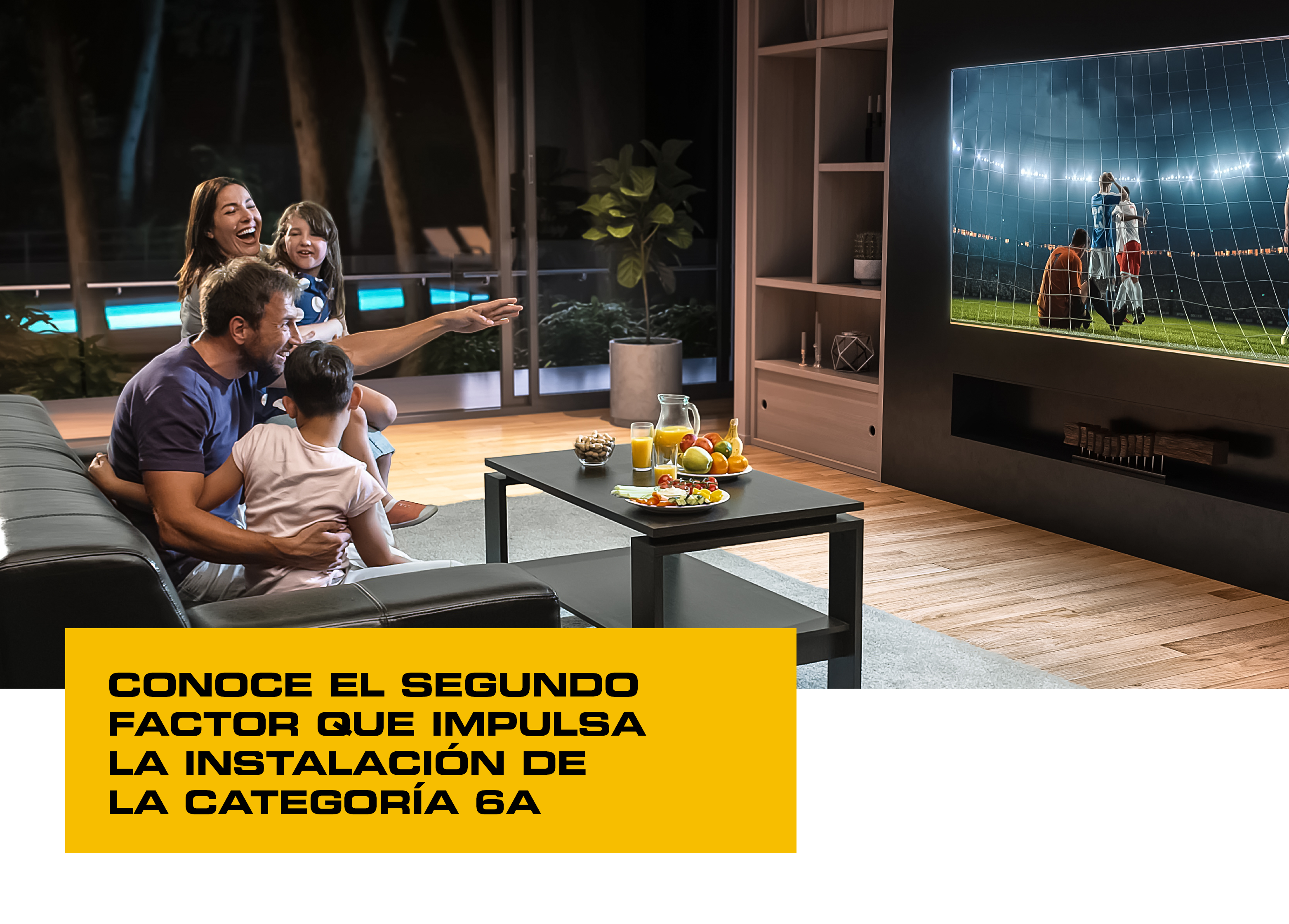 banner 2019