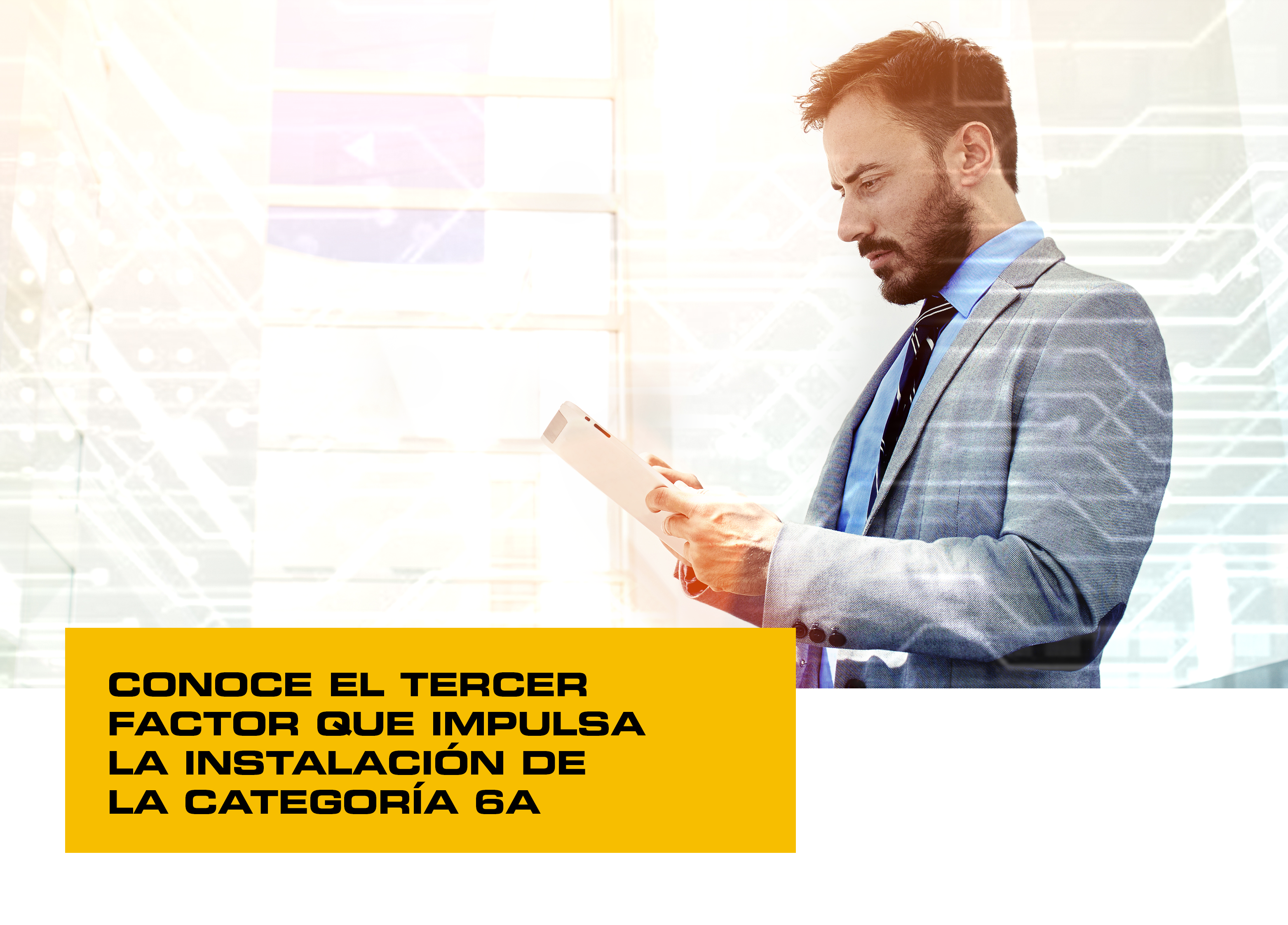 banner 2019